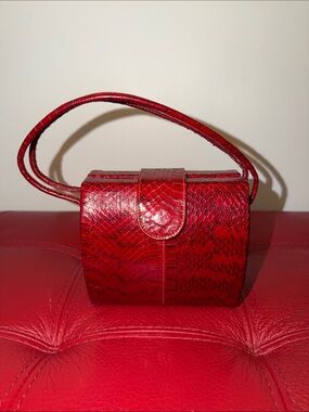 Vintage Unique Red Snakeskin Box Mini Handbag
